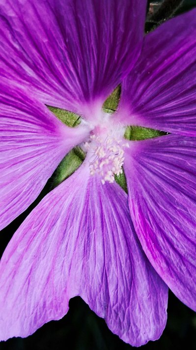 Wojsławickie Klimaty - galeria zdjęć